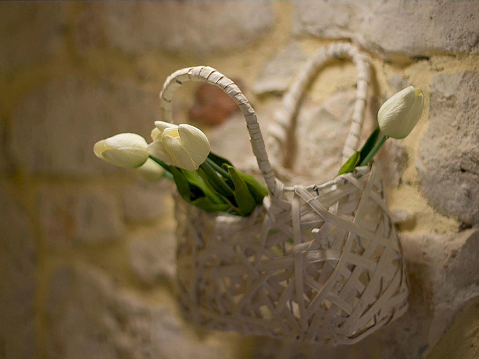 Rooms Villa Duketis Rovinj Exterior foto